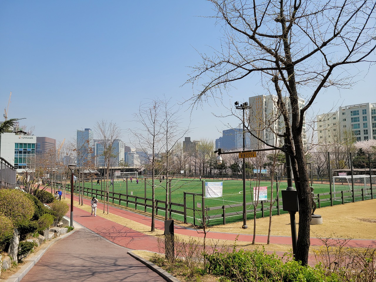 带来了意想