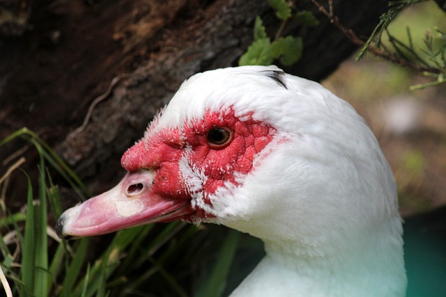 加深感情 加深感情