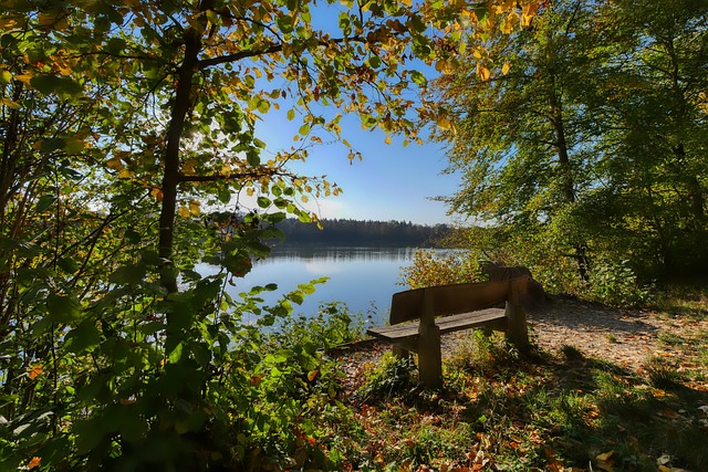 但对于年轻 但对于年轻