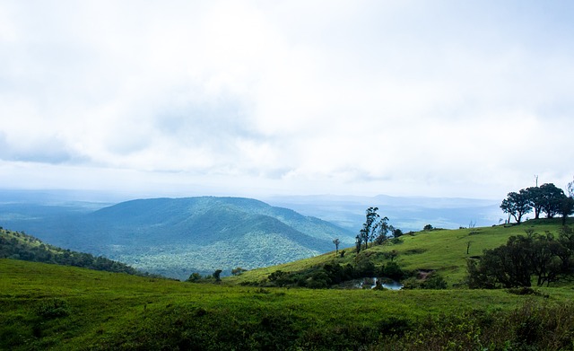 近期樊振东 近期樊振东