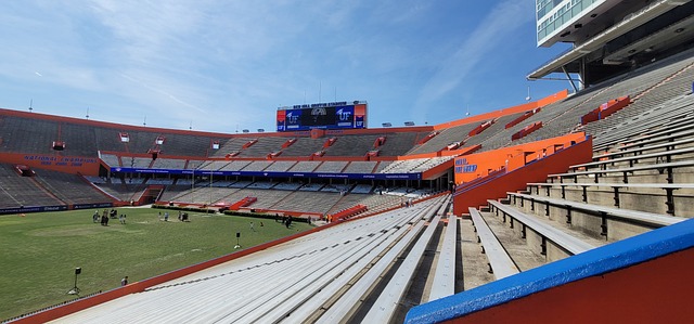 会设立专门 会设立专门