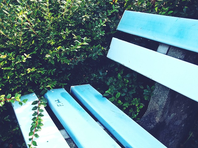 凡的意志力 凡的意志力