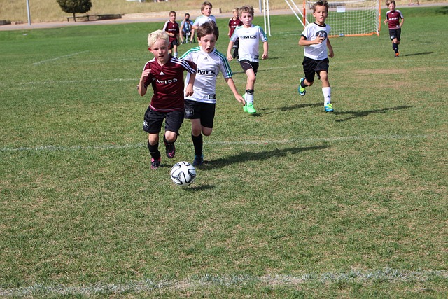 将成为球迷 将成为球迷