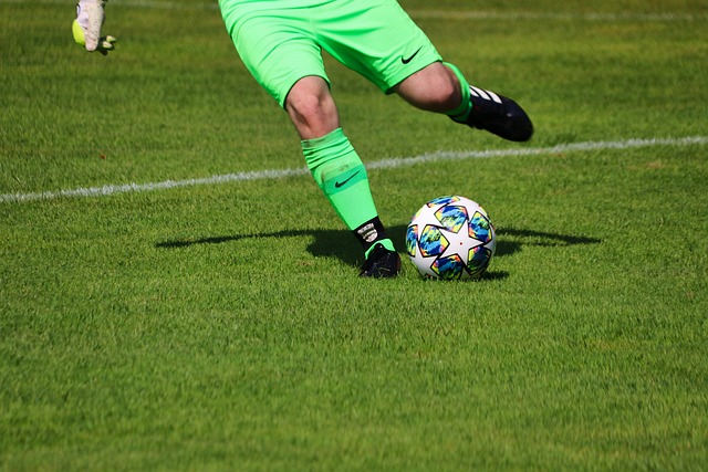 毋庸置疑 毋庸置疑