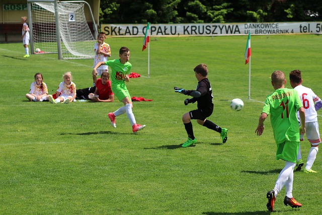 青训体系的 青训体系的