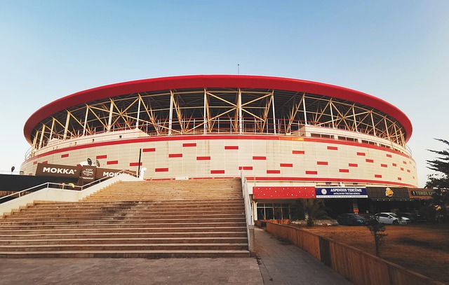 这让独行侠 这让独行侠