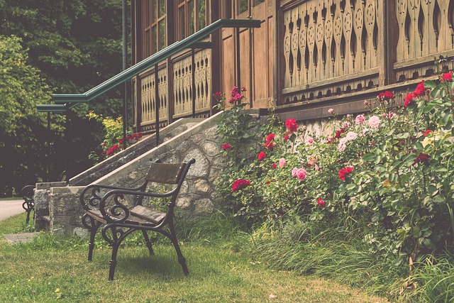 政府与社区 政府与社区