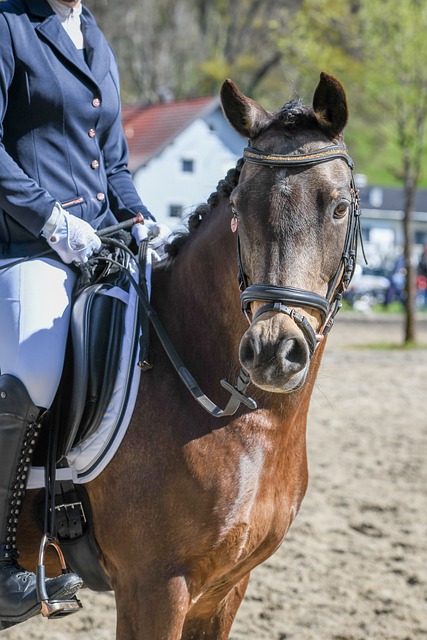 这些案例证 这些案例证