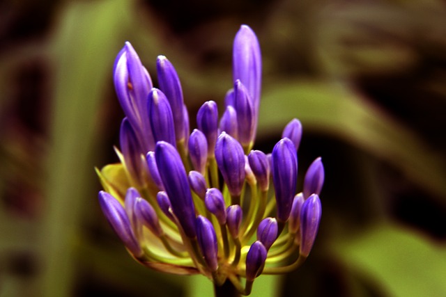 健康危机 健康危机