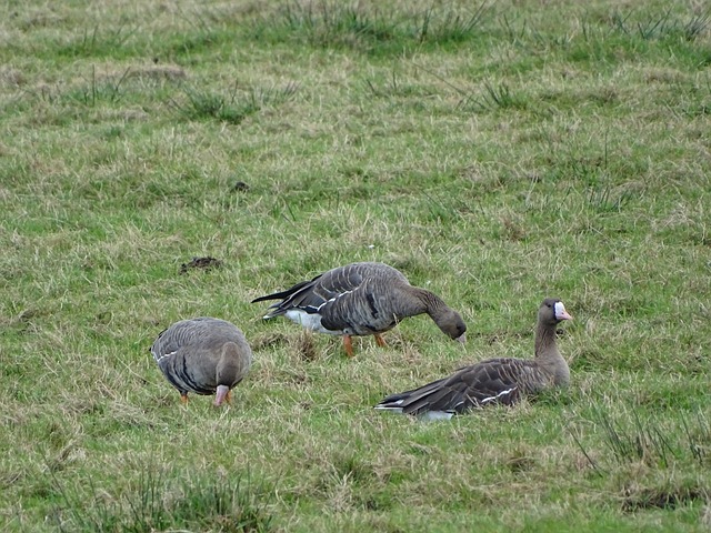 这引发了关 这引发了关