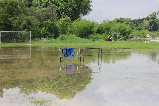 定消费群体 定消费群体