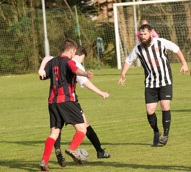 昂热选择了 昂热选择了