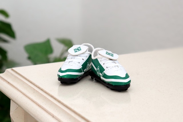 迅速调动节 迅速调动节